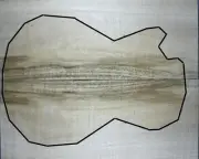 Figure Electric Bass/Guitar Top Spalted Maple Wood Bookmatch Set Luthier Supply