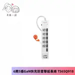 群加POWERSYNC 6開5插GAN快充防雷擊延長線-USB A+TYPEC快速充電 真蓁小舖