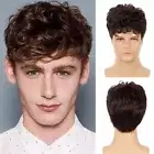 Natural Men Short Hair Brown Synthetic Brown Wigs Fasion Male Curly Wigs Party