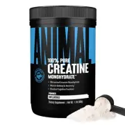 Creatine Monohydrate - Micronized Creatine for Women and Men, Supports Muscle...
