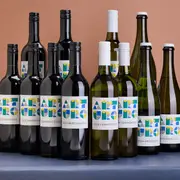 52% off Arturo Dozen Extravaganza - Buy Online | The Wine Collective