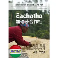 在飛比找蝦皮購物優惠-2022NEW肯亞 冽里產區 加洽莎合作社 AB TOP L