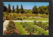 A5156 Australia SA Adelaide Veale Gardens TrueView postcard