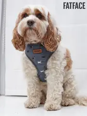 FatFace Grey Dogs Medium Harness (E60282) | $39