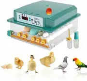 Incubator Egg Automatic Incubator Brooding Machine Chicken Incubator Home Incuba