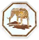 2'x2' Marble Console Table Top Rare Tiger Eye Tiger Pietra Dura Hallway Decor