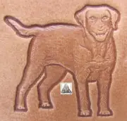 Labrador Retriever Dog 1" Leather Stamp Tool Pet Animal