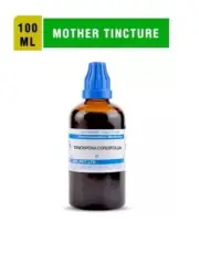 SBL Homeopathic Tinospora Cordifolia (Giloy) Mother Tincture Q (100ml)