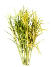 1/35 scale clumping Sugar Cane trees model set. 12 trees/1set.Model No.TPV-077