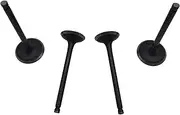 Intake and Exhaust Valve Kit for Hisun HS 500CC ATV UTV