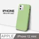 【液態矽膠殼】iPhone 12 mini 手機殼 i12 mini 保護殼 矽膠 軟殼 (蘋果綠)