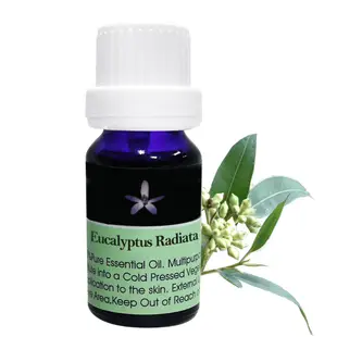 Body Temple 有機尤加利芳療精油(Eucalyptus Radiata)10ml