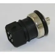 RAE Coolant Temperature Sensor - CS897