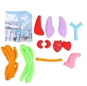 ERINGOGO Stereoscopic Human Organs Teaching Apron for Kindergarten Educational Equipment for Early Learning Anatomy Transparent Design for Schools and Health Teaching