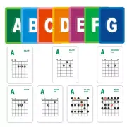 Beginner's For Guitar Chord Learning System 49 Flash Cards for Easy Mastery