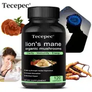 Lion's Mane Mushrooms Supplement Promotes Brain & Cognitive Function Health