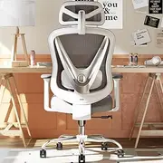 HOLLUDLE Ergonomic Mesh Office Chair - 3D Adjustable Lumbar Support, 3D Armrests, V-Shaped Back | Adjustable Desk Chair for Office & Home, Black