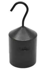 500g Iron Hooked Weight with Slotted Base to Hang Additional Weights -Eisco Labs