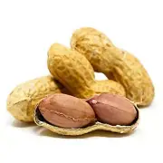 Roasted Peanuts | salted Whole High Quality Organic 100% Healthy Nuts Fresh Pure