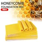 NEW 10Pcs Beeswax Foundation Bee Hive Wax Frames Beekeeping BEST Honeycomb G9I1