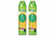 12 x Air Freshener Fresh Citrus Flavour Orange Lemon Lime Car Home Room
