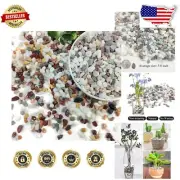 Natural 3/8 Inch River Rocks - 20lbs Decorative Pebbles for Succulents & Vases