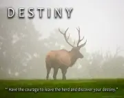 Elk Hunting Destiny Motivational Poster Art Print Foundation Guide Wall Decor