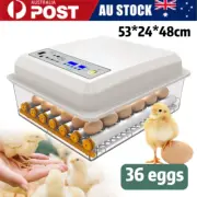 4/24/36/64 Egg Incubator Fully Automatic Egg Turning Hatcher Quail Chicken Duck
