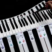 Piano Keyboard Stickers, 88 Full-Size Piano Rake Key Labels Overlay Removable fo