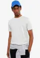 Basic Combed Cotton T-Shirt