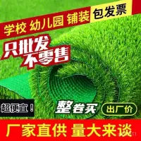 在飛比找蝦皮商城精選優惠-仿真草坪地毯工地圍擋假草皮幼兒園綠地仿真綠植人造戶外庭院裝飾