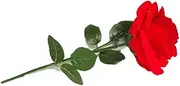 [Generic] Rose Ring Box - Flower Heart Engagement Ring Box for Proposal Ring, Ceremony, Wedding or Special Occasions (Red)