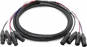 Swamp Pro-Line 4-Channel XLR AES Audio Snake Cable Loom - 150cm
