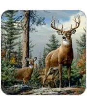 Cork Back Coaster-Holiday Design-BUCK & DOE-Create Your Own Set!