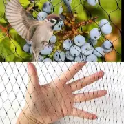 Bird Netting Net Anti Pest Commercial Fruit Trees Plant 10m/20m/30m Mesh Black