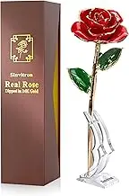Sinvitron Gold Dipped Infinity Rose - Eternal Resin-Preserved Rose | Forever Flower Decor for Birthdays, Mother’s Day, Anniversaries | Unique Women, Mom, Wife (Red)