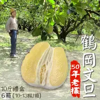 在飛比找PChome24h購物優惠-【鶴岡嚴選】老欉花蓮鶴岡特優文旦10斤禮盒6箱