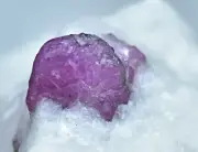 84 Carat Natural Ruby Crystals Specimen From Jikdalek Afghanistan