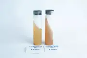 Pre-poured Mushroom Agar Slant- Replacement for agar petri-dish Long-Term Store