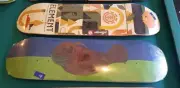 Skateboard Deck Poohrail Psstix Manatee 8.375