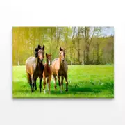 Horses Frolic In a Paddock Print 100% Australian Made 150 x 100cm (Stretched)