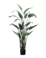 Creative Displays 65in Water Canna Plant with Plastic Filler