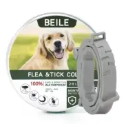 Dog anti Flea and Tick Collars,Pet 8Month Protection Adjustable Collar for Large
