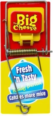 The Big Cheese Fresh Baited Mouse Suitable for Indoor and Outdoor