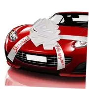 20 Inches Giant White Car Bow Big Gift Wrapping Pull Bow for Large Gift