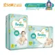 幫寶適 Pampers 一級幫棉柔 黏貼型紙尿褲 NB/S 箱購(非彩箱)【宜兒樂】