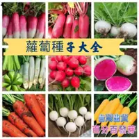 在飛比找蝦皮購物優惠-🍓【免運大熱銷】蘿蔔種子 四季蔬菜 胡蘿蔔種子櫻桃蘿蔔種子 