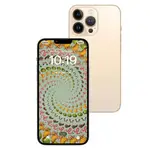 [Apple] iPhone 13 Pro Max 256GB
