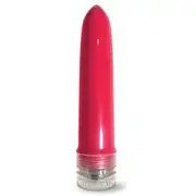 Pleasure Package I Didn't Know Your Size Multi Speed Vibrator