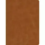 CSB LIFEWAY WOMEN’’S BIBLE, BUTTERSCOTCH GENUINE LEATHER, INDEXED